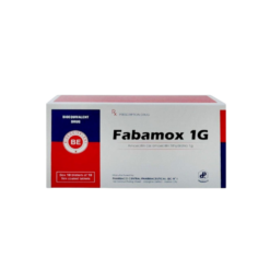 Thuốc Fabamox 1g